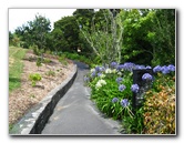 Auckland-Botanic-Gardens-Manukau-North-Island-New-Zealand-074