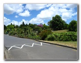 Auckland-Botanic-Gardens-Manukau-North-Island-New-Zealand-099