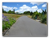 Auckland-Botanic-Gardens-Manukau-North-Island-New-Zealand-104