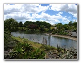 Auckland-Botanic-Gardens-Manukau-North-Island-New-Zealand-113