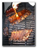 BBQ-Baby-Back-Ribs-Guide-28