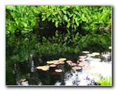 Botero-At-Fairchild-Gardens-Coral-Gables-FL-007