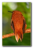 Butterfly-World-Coconut-Creek-FL-169