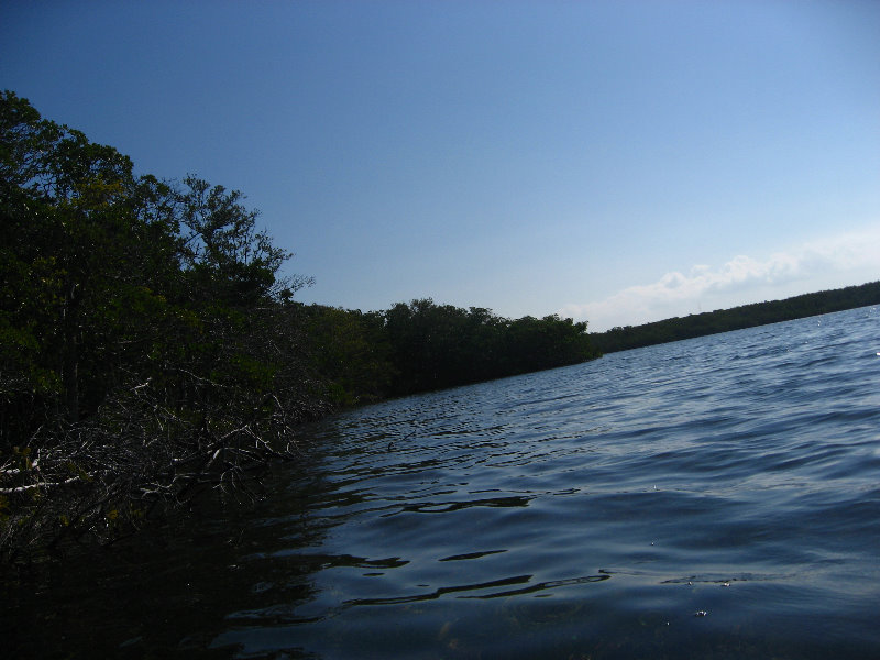 Buttonwood-Sound-Kayaking-Key-Largo-FL-014