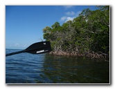 Buttonwood-Sound-Kayaking-Key-Largo-FL-012