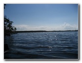 Buttonwood-Sound-Kayaking-Key-Largo-FL-017
