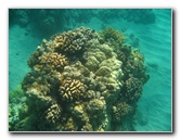 Canon-Underwater-Digital-Camera-Case-Review-019
