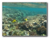 Canon-Underwater-Digital-Camera-Case-Review-030