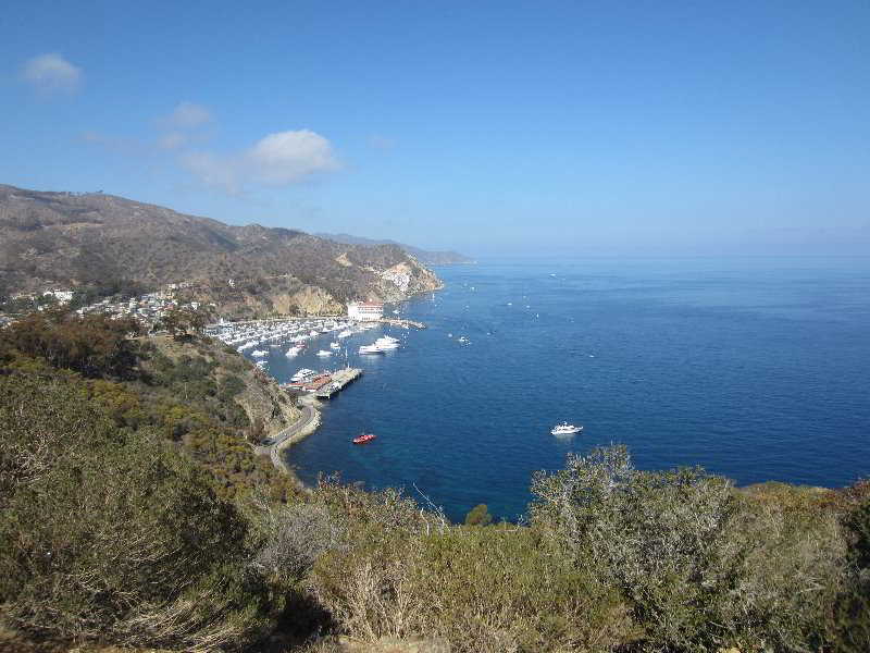 Casino-Point-Snorkeling-Avalon-Catalina-Island-CA-001