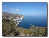Casino-Point-Snorkeling-Avalon-Catalina-Island-CA-001