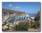 Casino-Point-Snorkeling-Avalon-Catalina-Island-CA-002