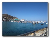Casino-Point-Snorkeling-Avalon-Catalina-Island-CA-006