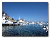 Casino-Point-Snorkeling-Avalon-Catalina-Island-CA-012