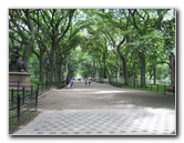 Central-Park-Manhattan-New-York-City-NY-019