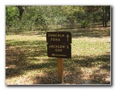 Chacala-Trail-Paynes-Prairie-Preserve-State-Park-Micanopy-FL-008