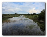 Chapel-Trail-Nature-Preserve-Pembroke-Pines-FL-023