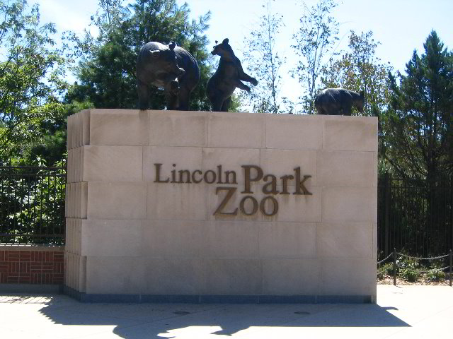 Lincoln-Park-Zoo-Chicago-003