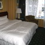 Westin Hotel Review & Pictures - 909 N. Michigan Ave.