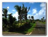 Coconut-Grove-Resort-Taveuni-Island-Fiji-001