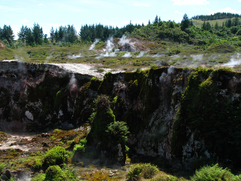 Craters-of-the-Moon-Geothermal-Walk-Taupo-New-Zealand-038
