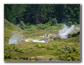 Craters-of-the-Moon-Geothermal-Walk-Taupo-New-Zealand-006