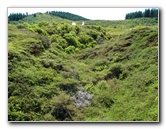 Craters-of-the-Moon-Geothermal-Walk-Taupo-New-Zealand-031