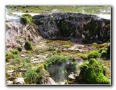 Craters-of-the-Moon-Geothermal-Walk-Taupo-New-Zealand-039