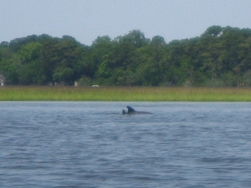 Crazy-Fish-Kayaking-Jacksonville-Beach-FL-030