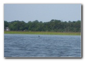 Crazy-Fish-Kayaking-Jacksonville-Beach-FL-031
