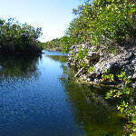Dagny Johnson Botanical State Park - Key Largo, FL