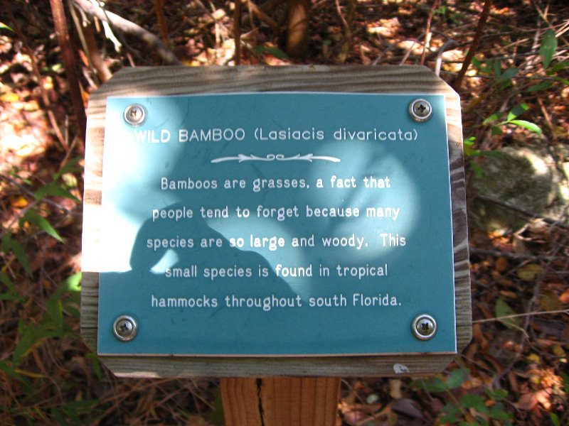 Dagny-Johnson-Key-Largo-Hammock-Botanical-State-Park-014