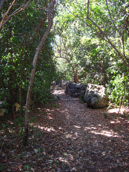 Dagny-Johnson-Key-Largo-Hammock-Botanical-State-Park-041