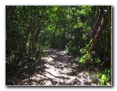 Dagny-Johnson-Key-Largo-Hammock-Botanical-State-Park-012