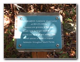 Dagny-Johnson-Key-Largo-Hammock-Botanical-State-Park-014