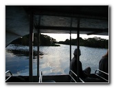 Everglades-Holiday-Park-Airboat-Ride-011