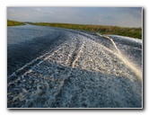 Everglades-Holiday-Park-Airboat-Ride-015