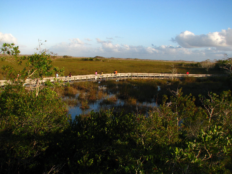 Everglades-National-Park-Homestead-FL-075