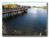 Everglades-National-Park-Homestead-FL-060