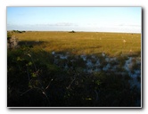 Everglades-National-Park-Homestead-FL-074