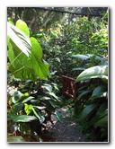 Fincas-Naturales-Butterfly-Garden-Costa-Rica-056