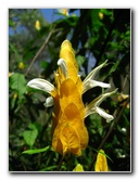 Fincas-Naturales-Butterfly-Garden-Costa-Rica-077