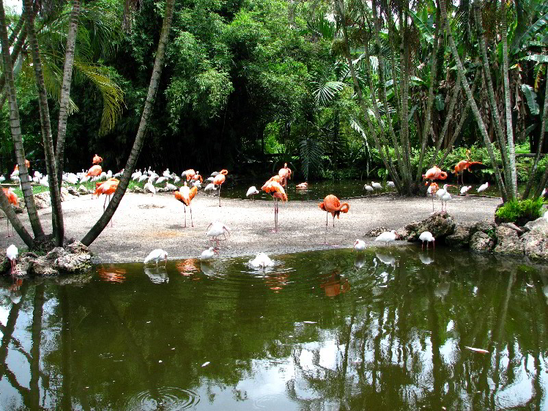 Flamingo-Gardens-Davie-FL-023