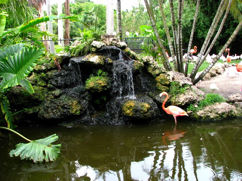 Flamingo-Gardens-Davie-FL-027