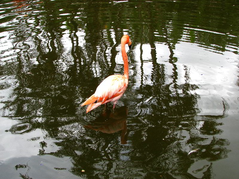 Flamingo-Gardens-Davie-FL-038