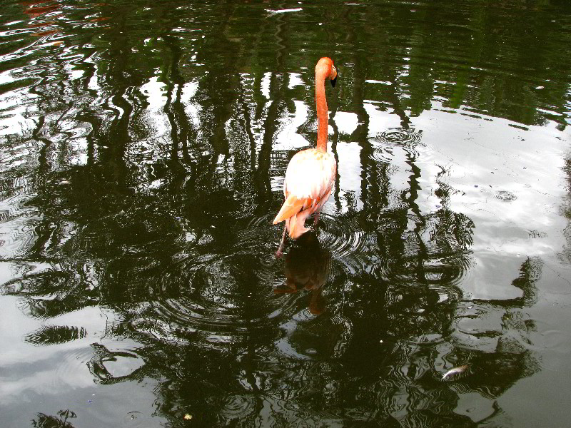 Flamingo-Gardens-Davie-FL-039