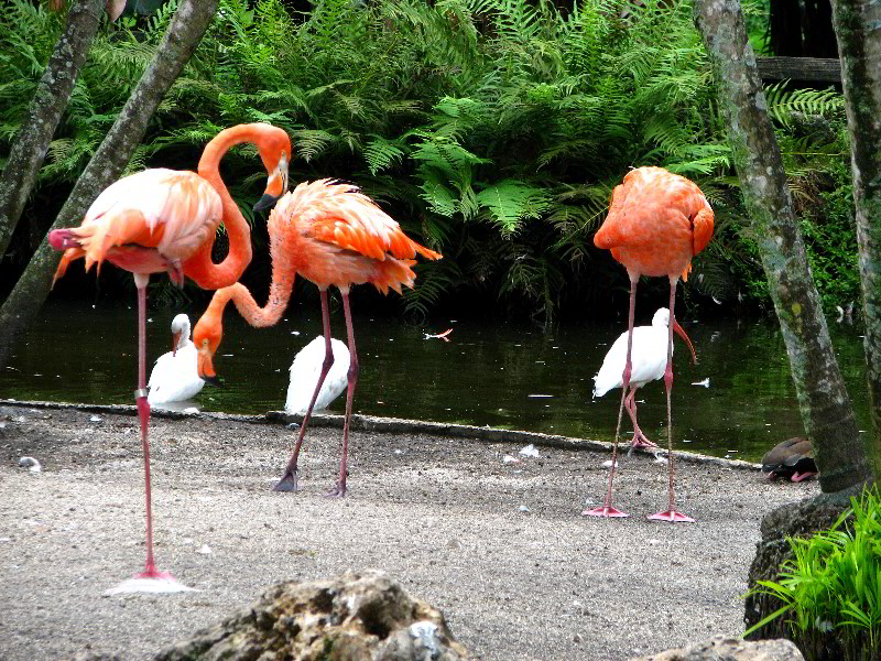Flamingo-Gardens-Davie-FL-040
