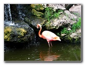 Flamingo-Gardens-Davie-FL-030