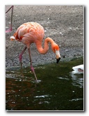 Flamingo-Gardens-Davie-FL-032