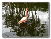 Flamingo-Gardens-Davie-FL-038