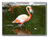Flamingo-Gardens-Davie-FL-041